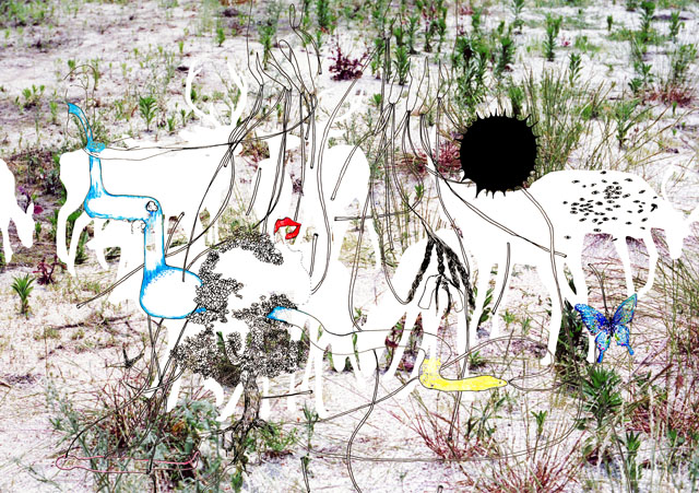 つながりの庭,60×86cm,Lambda Print,2006