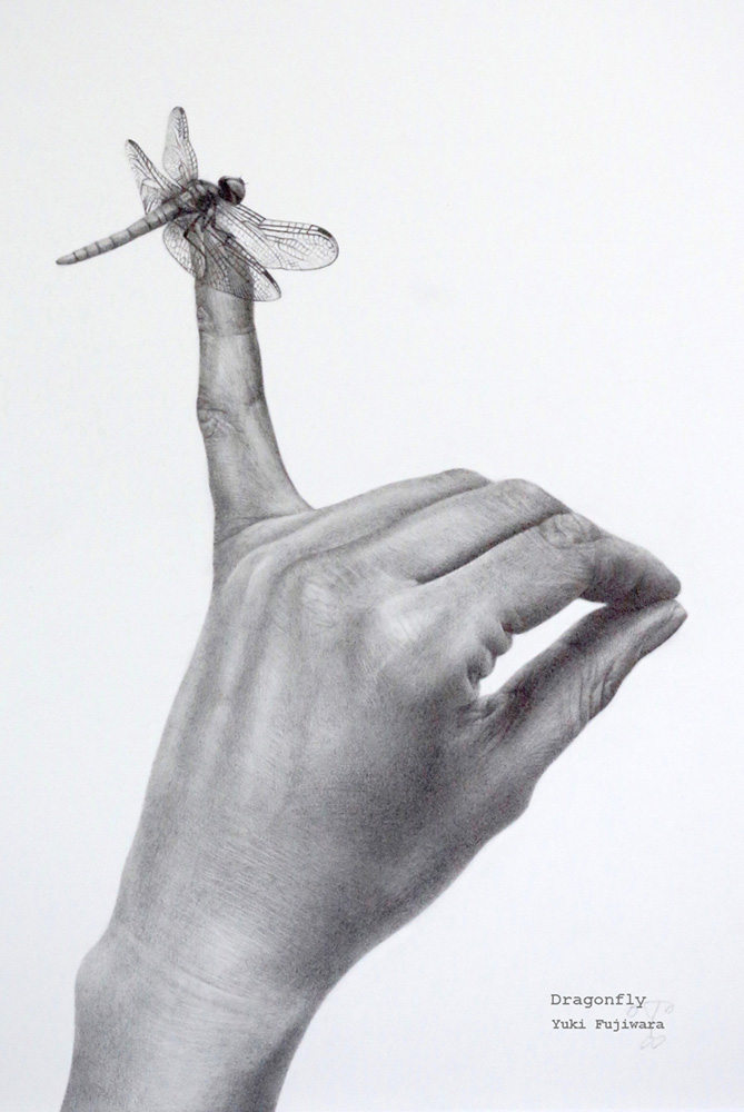「蜻蛉 Dragonfly」h33.3 w24.5   2013年作　鉛筆画