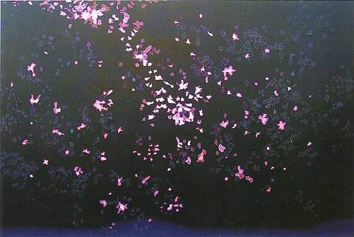 "blossom" 2011,oil on canvas 130.5x194.0cm
