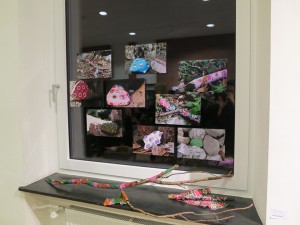 IMG_2434