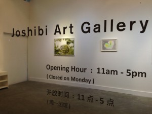 「遺されたもの」｜joshibi-art-gallery｜上海m50